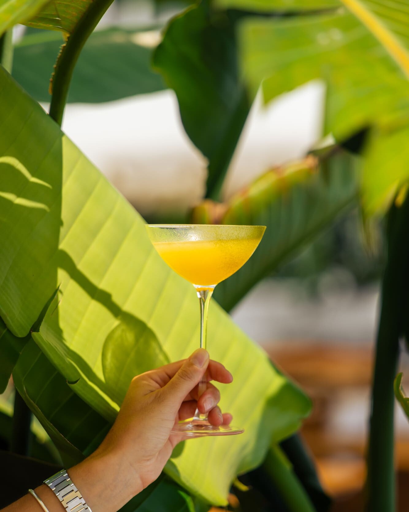 cocktail lounge